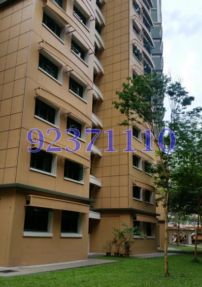 Blk 687C Woodlands Drive 75 (Woodlands), HDB 5 Rooms #79810762